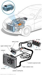 See C2556 repair manual